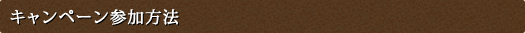 キャンペーン参加方法