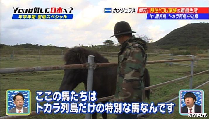 2015年初放送！年越しYOUに密着SP！
