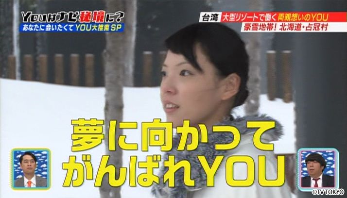 あなたに会いたくて！北へ南へYOU大捜索SP
