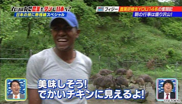 日本の技に熱視線HOTなYOUがほっとけないよSP！