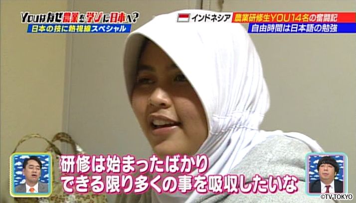 日本の技に熱視線HOTなYOUがほっとけないよSP！