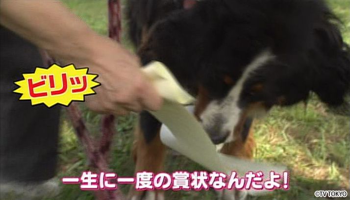 100回記念2時間スペシャル！SP