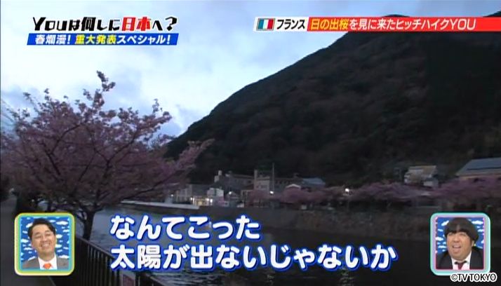 YOUハラハラ！桜ヒラヒラ！春爛漫！重大発表もあるよSP