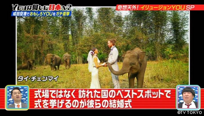 YOUのイリュージョンにア然！ボウ然！ガク然SP