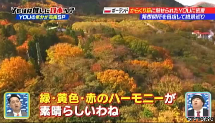 あれも欲しい これも欲しい もっと欲しい YOUの気分が高揚SP
