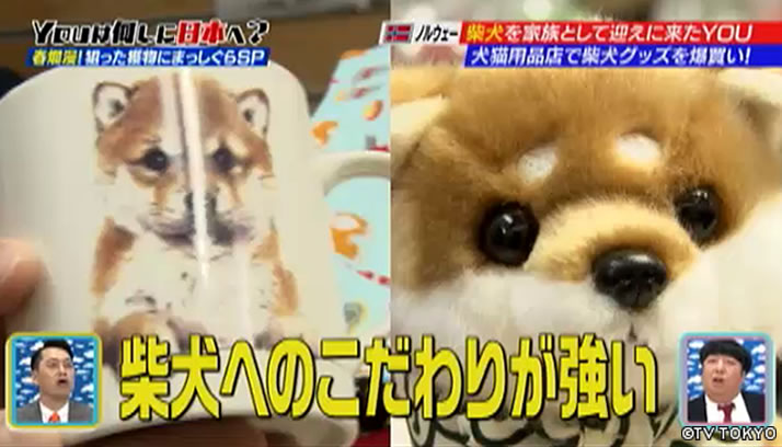 YOUに誘われ！頼まれ！日本再発見！春爛漫！狙った獲物にまっしぐらSP