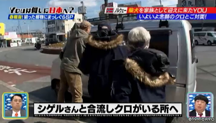 YOUに誘われ！頼まれ！日本再発見！春爛漫！狙った獲物にまっしぐらSP