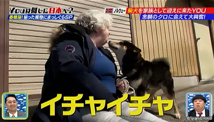 YOUに誘われ！頼まれ！日本再発見！春爛漫！狙った獲物にまっしぐらSP