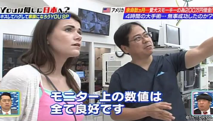 あの“夢と魔法の王国”に初潜入 キスしてハグして家族になろうYOU SP
