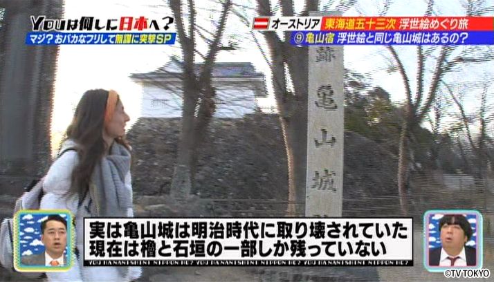 Day 7, Kameyama<br />The view not to be seen anymore.