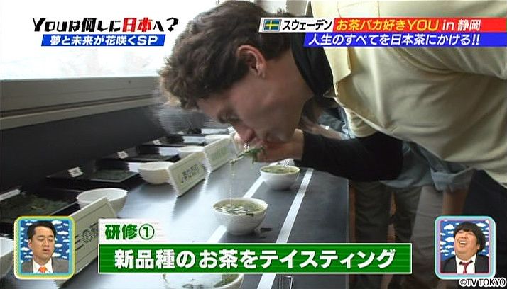 Studying Japanese tea as an intern at Tea Research Center.