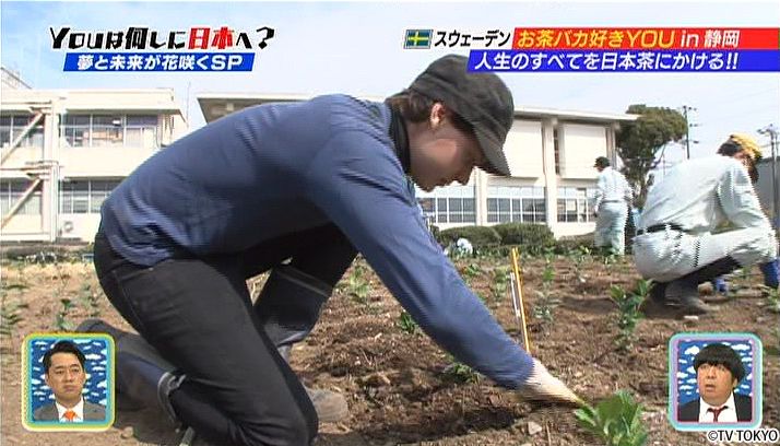 Studying Japanese tea using his savings that he earned working as a corporate employee.
