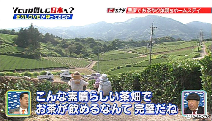 Experiencing the joy of Japanese tea.