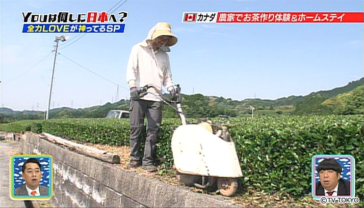 This might be a heaven for him.