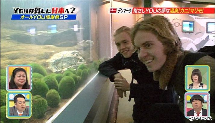 They never get bored of looking at them, it's been 15 minutes…