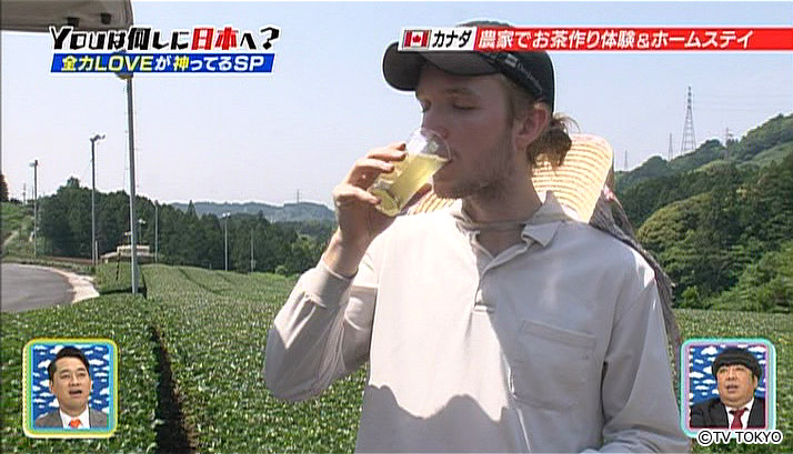 A trip to follow Japanese tea.Part2