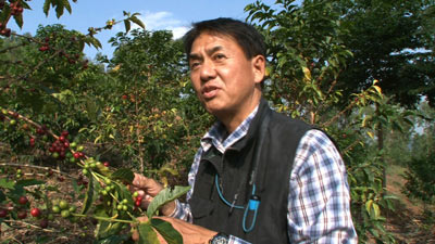 コーヒーハンターの川島良彰さん