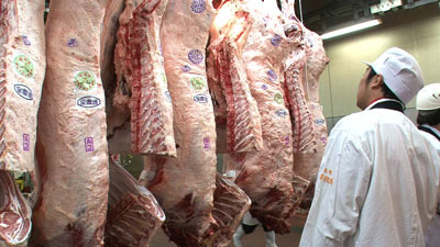 食肉工場で格付けされる神戸牛