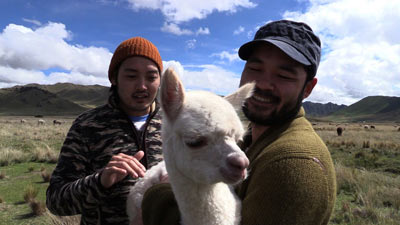 アルパカを抱くイノウエブラザーズ