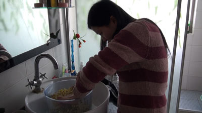 大人気のもやし製造機