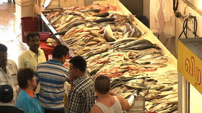 シンガポールの魚市場