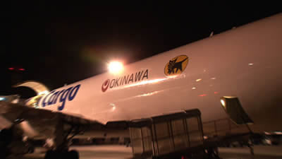 ANAとヤマト運輸が提携