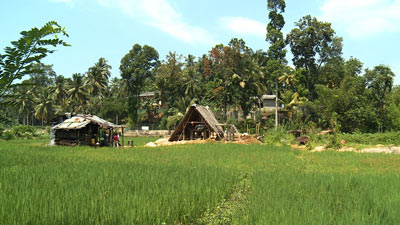 田んぼの中にある採掘現場