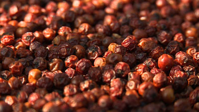 赤色の完熟コショウ