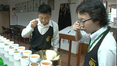 新たな茶葉を捜すため味見をする三井農林の社員