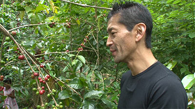 幻のスリランカコーヒーを復活させるため奔走する日本人