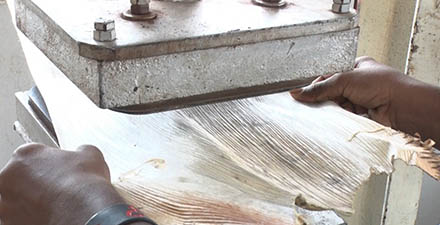 “使い捨ての皿”の原材料は… なんと落ち葉？