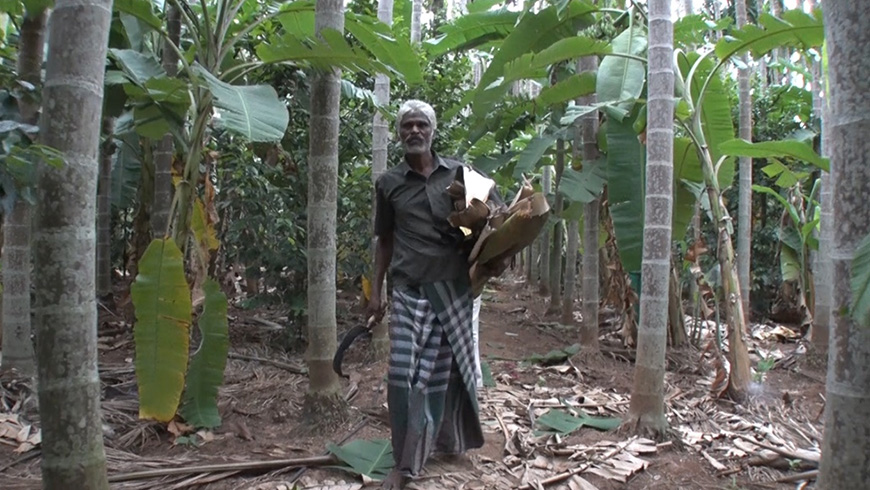 世界のごみ問題 第３弾　人類vs使い捨てプラスチック