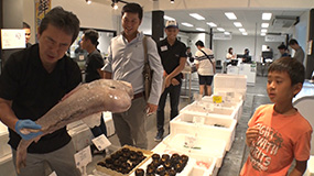 ニッポンの逆襲！築地市場がアジアに移転・・・？　ヒット連発！限定版の新ブランド