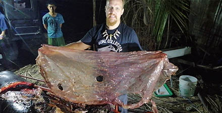 クジラの胃から大量プラスチック