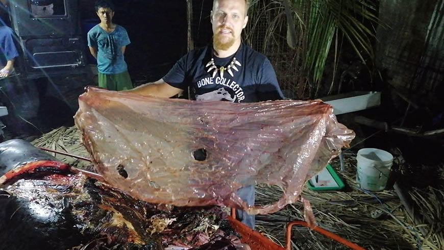 追跡ごみ危機～クジラから大量プラスチックの正体・空飛ぶクルマ最前線
